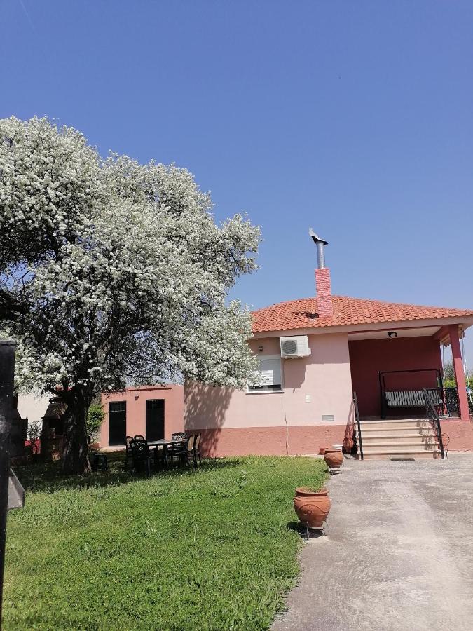 Αξέχαστη Διαμονή - Unforgettable Accommodation Nea Kallikrateia Exterior foto